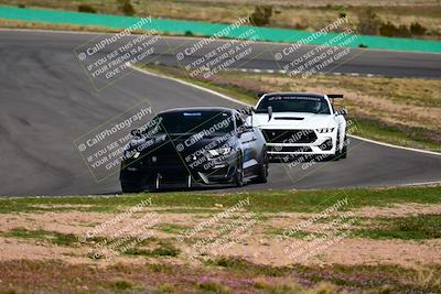 media/Feb-25-2024-Speed Ventures (Sun) [[b9a2a97a4d]]/Mustang Drivers Club/Session 3 (Turn 2)/